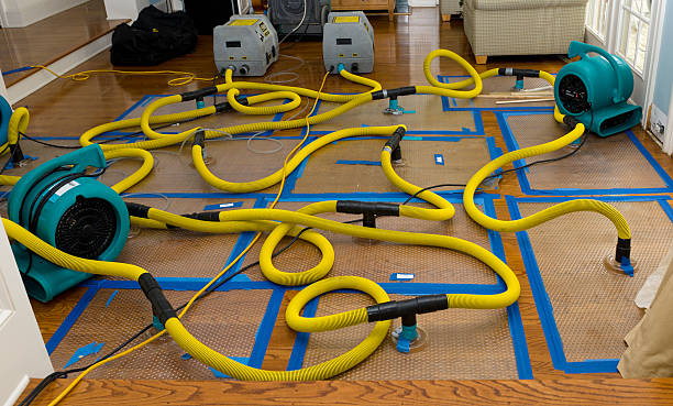 Professional Sewage Cleanup technician working in Ashville, OH